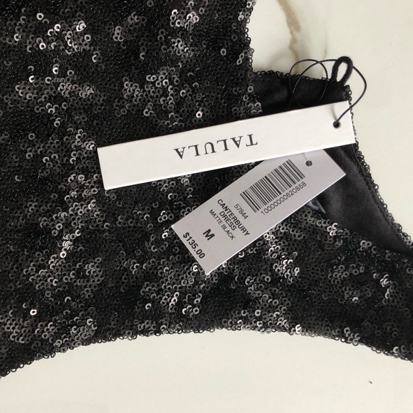 Aritzia Talula Canterbury Dress - Picture 1 of 2